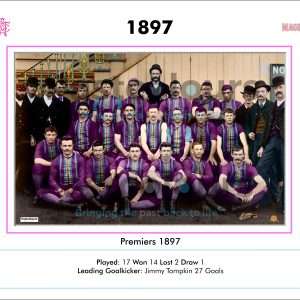 Port Adelaide Football Club Premierships, Port Adelaide Premiership photos,